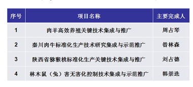 科技推廣新引擎 軟件開發(fā)賦能數(shù)字化轉(zhuǎn)型與創(chuàng)新未來